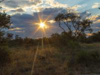  of property in Hoedspruit