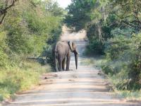  of property in Hoedspruit