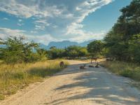  of property in Hoedspruit