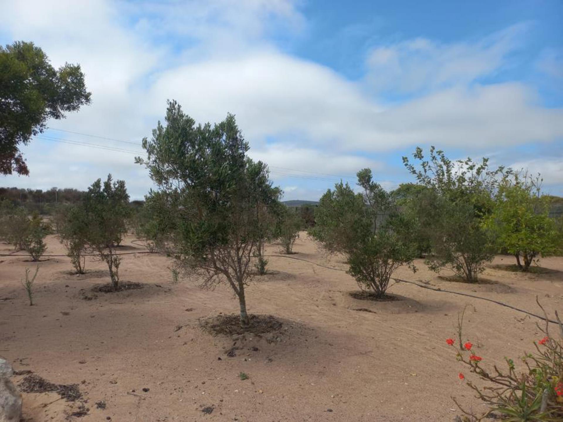  of property in Long Acres Country Estate