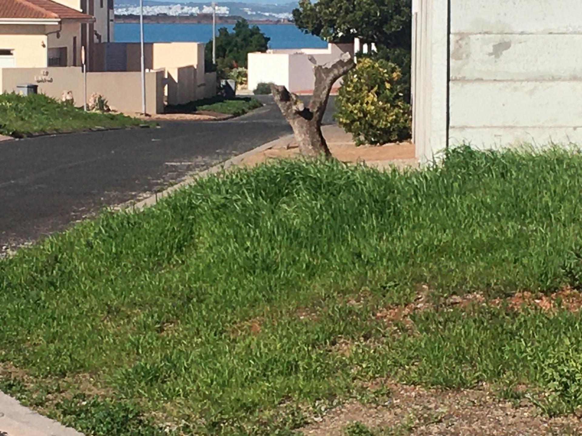  of property in Saldanha