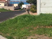  of property in Saldanha