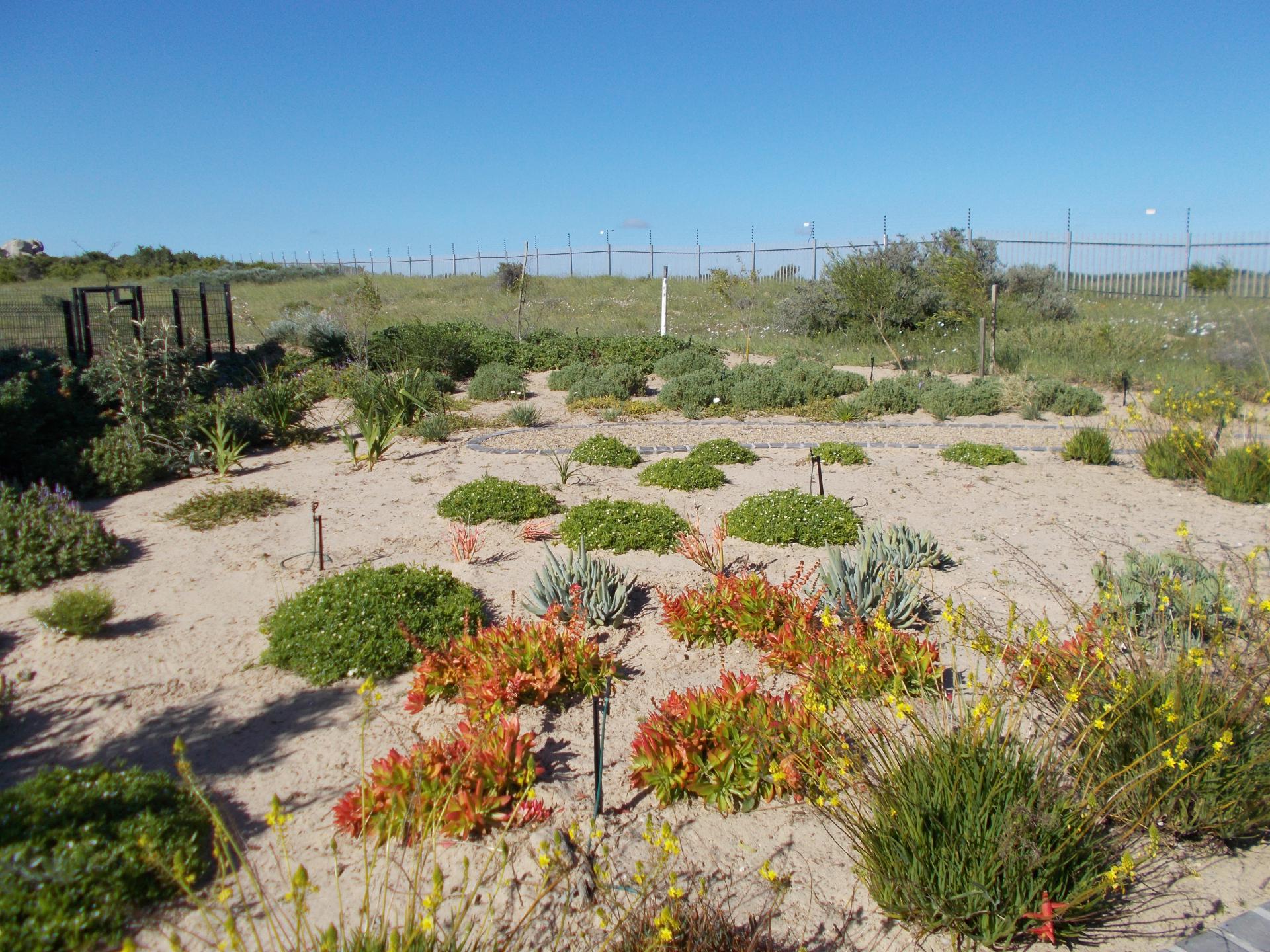  of property in Langebaan Country Estate