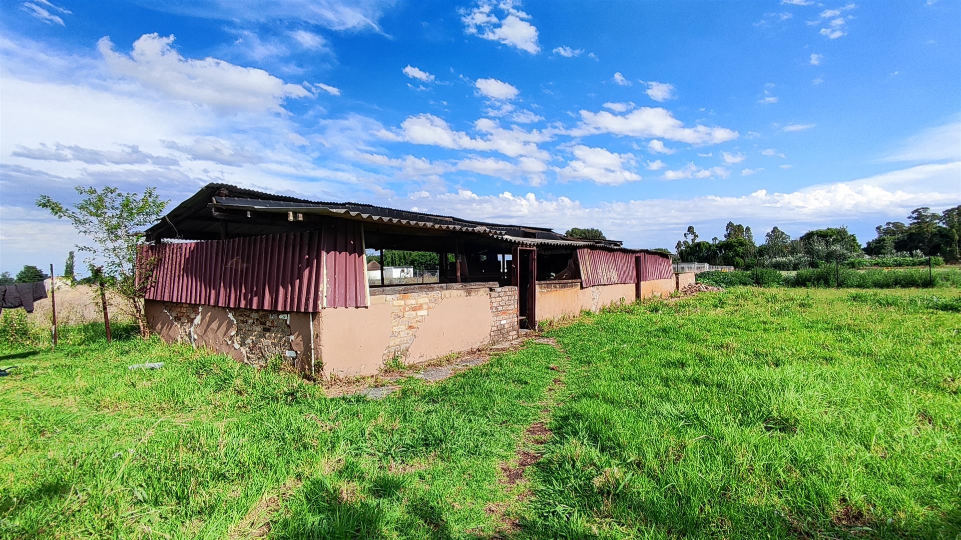 Backyard of property in Spaarwater