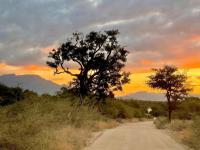  of property in Hoedspruit