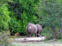  of property in Hoedspruit