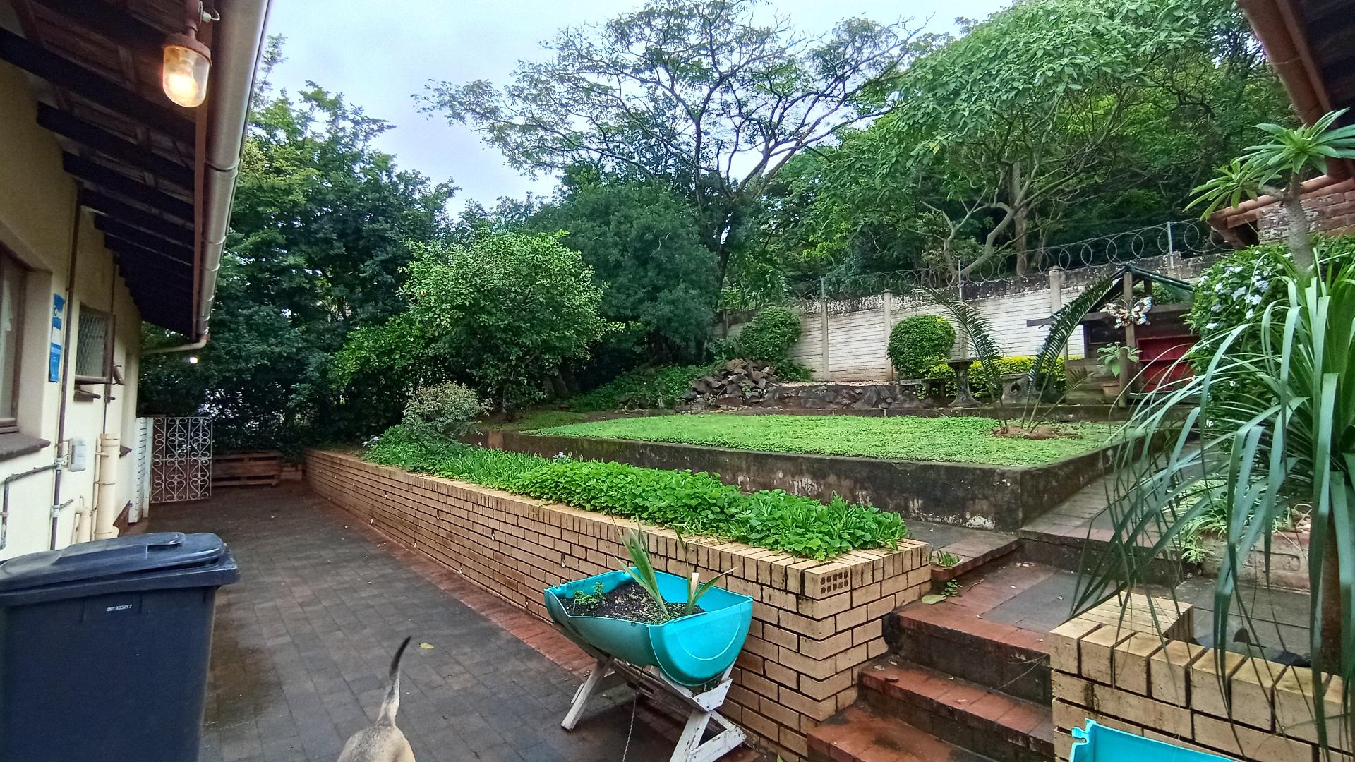 Backyard of property in Warner Beach