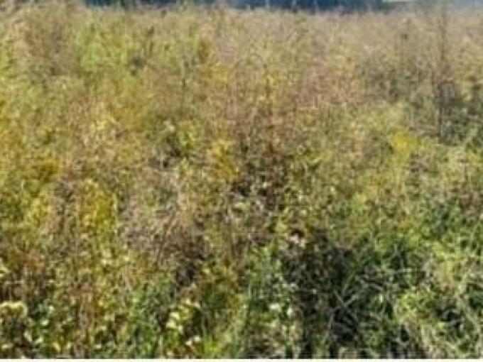 Land for Sale For Sale in Germiston - MR699456