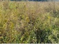  of property in Germiston