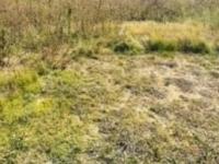  of property in Germiston