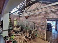  of property in Theresapark