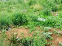  of property in Germiston