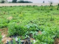  of property in Germiston