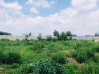  of property in Germiston