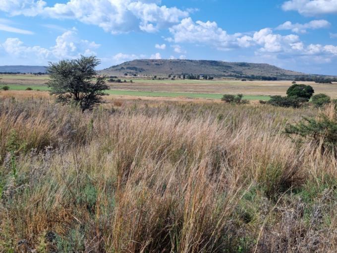 Land for Sale For Sale in Walkerville - MR699549