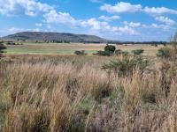  of property in Walkerville