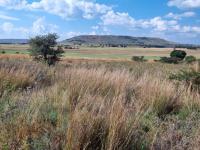  of property in Walkerville