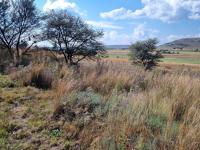  of property in Walkerville