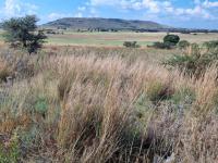  of property in Walkerville