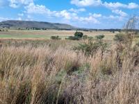  of property in Walkerville