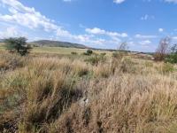  of property in Walkerville