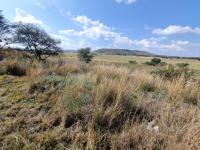  of property in Walkerville