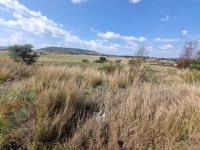  of property in Walkerville