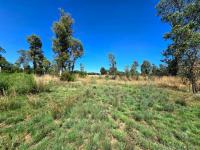  of property in Homestead Apple Orchards AH
