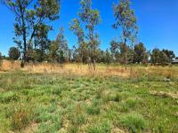  of property in Homestead Apple Orchards AH