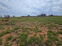  of property in Walkerville