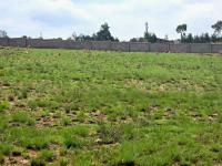  of property in Walkerville