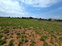  of property in Walkerville