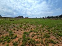  of property in Walkerville