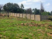  of property in Walkerville