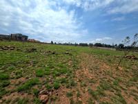  of property in Walkerville