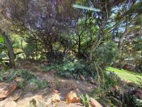  of property in South Crest