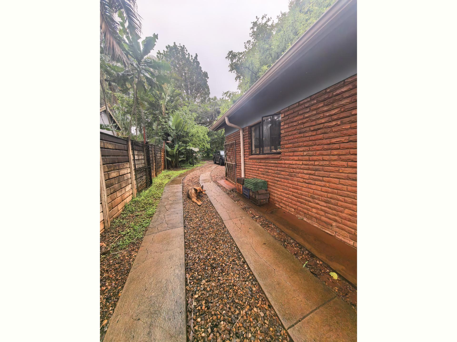  of property in Makhado (Louis Trichard)