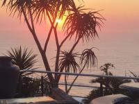  of property in Bluff