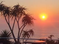  of property in Bluff