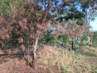  of property in Cullinan