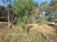  of property in Cullinan