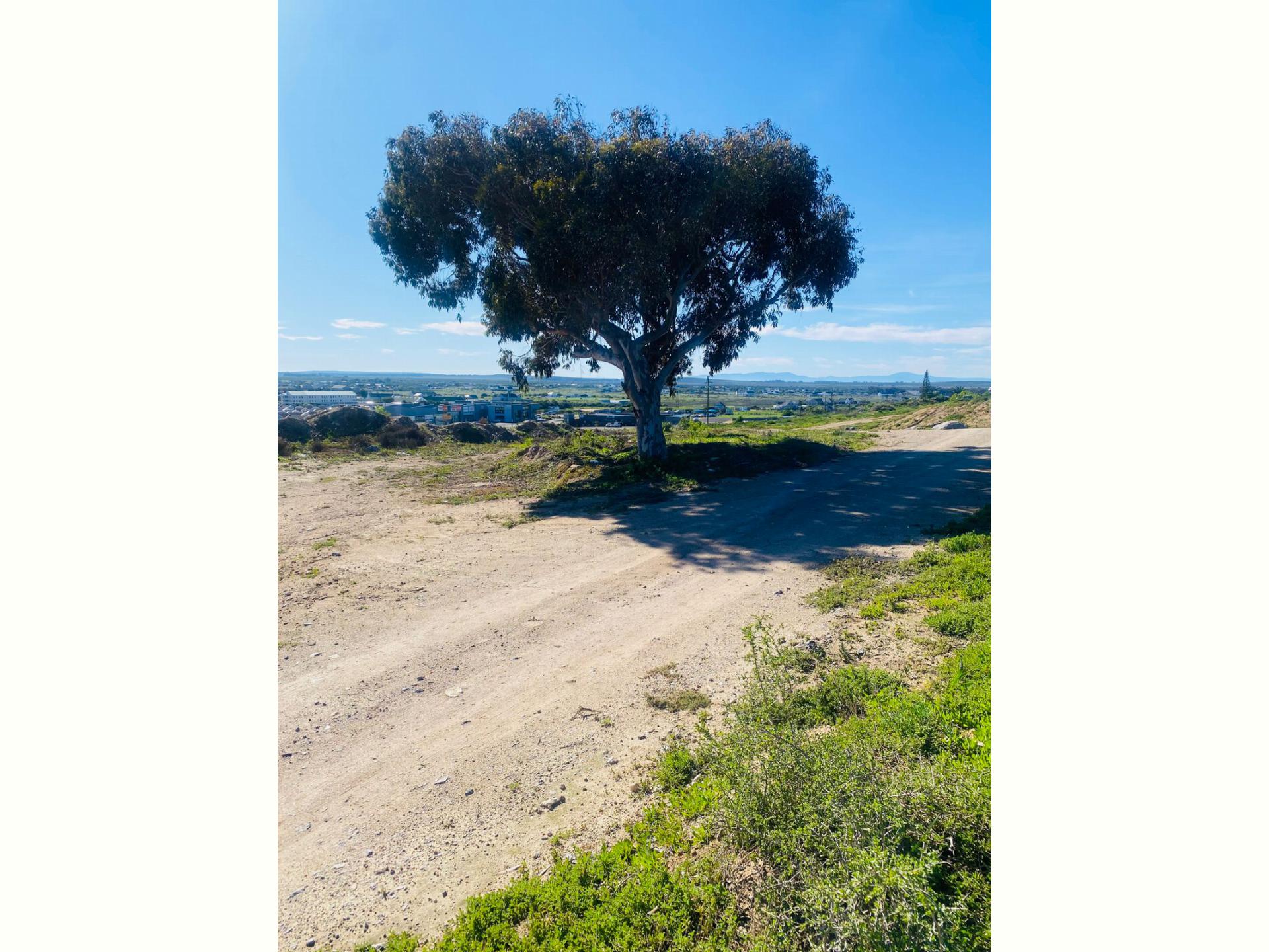  of property in Langebaan