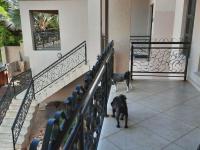  of property in Cashan