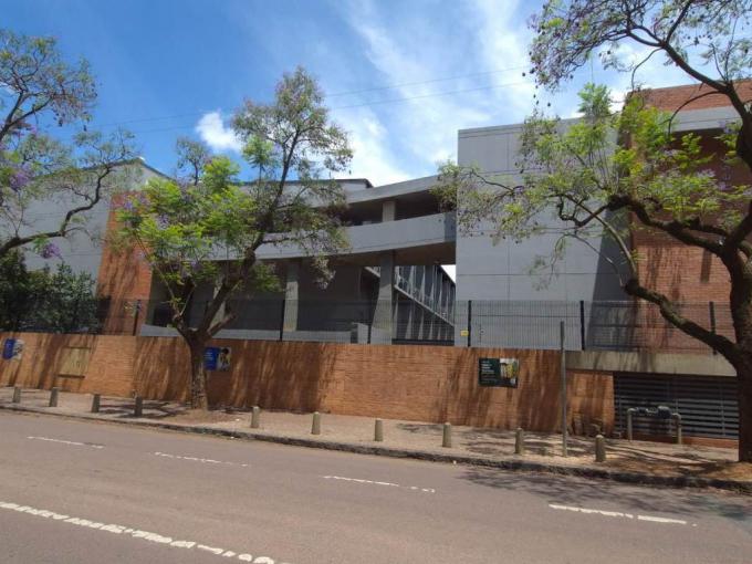 1 Bedroom Apartment to Rent in Sunnyside - Property to rent - MR700053