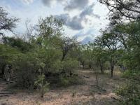  of property in Hoedspruit