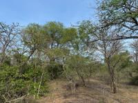  of property in Hoedspruit