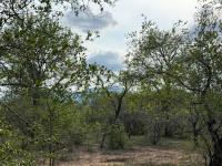  of property in Hoedspruit