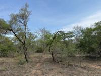  of property in Hoedspruit