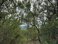  of property in Hoedspruit