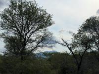  of property in Hoedspruit